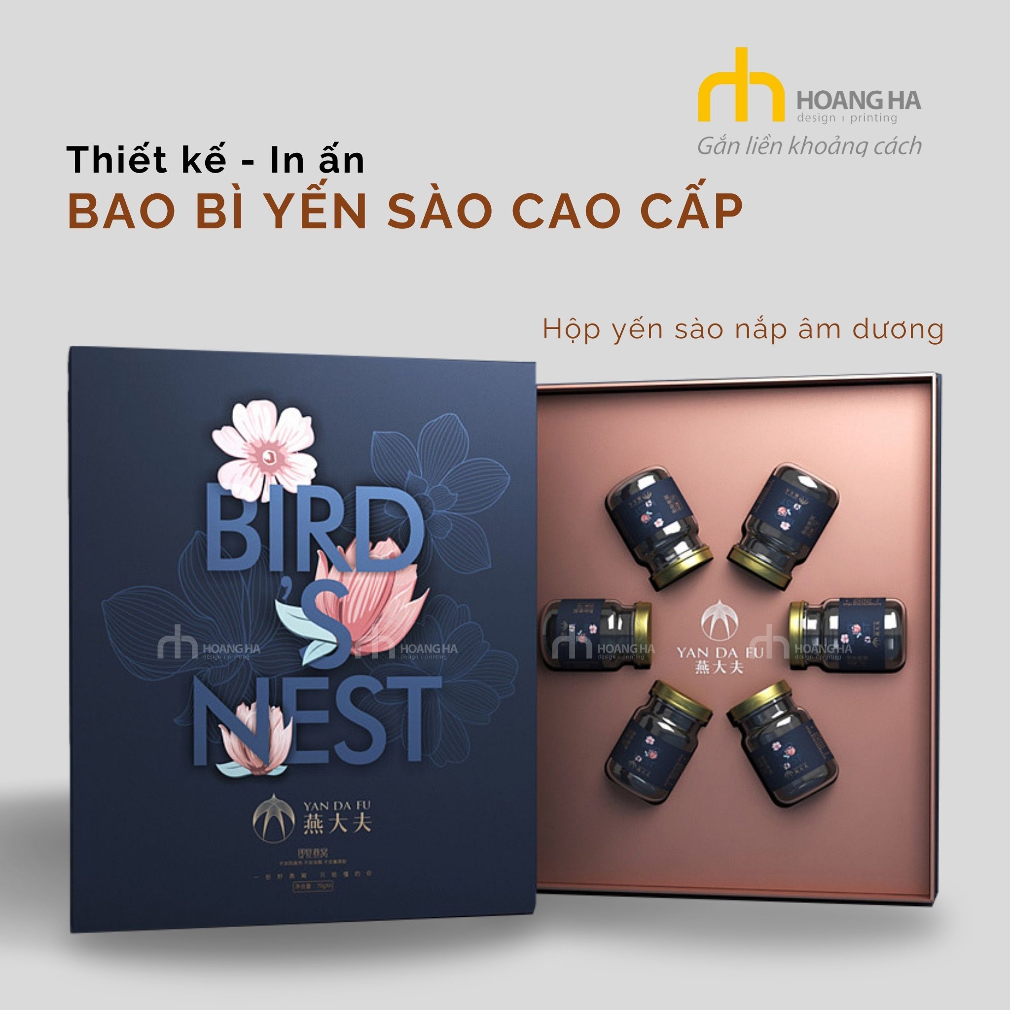 Những mẫu thiết kế bao bì hộp yến sào đẹp, sang trọng 